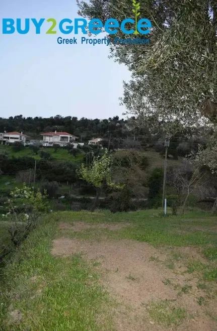 Plot 1500m²  - 4