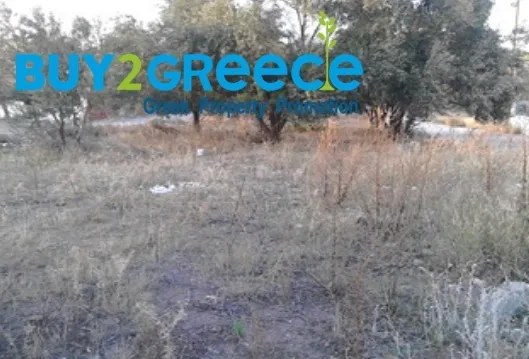 Plot 600m²  - 3