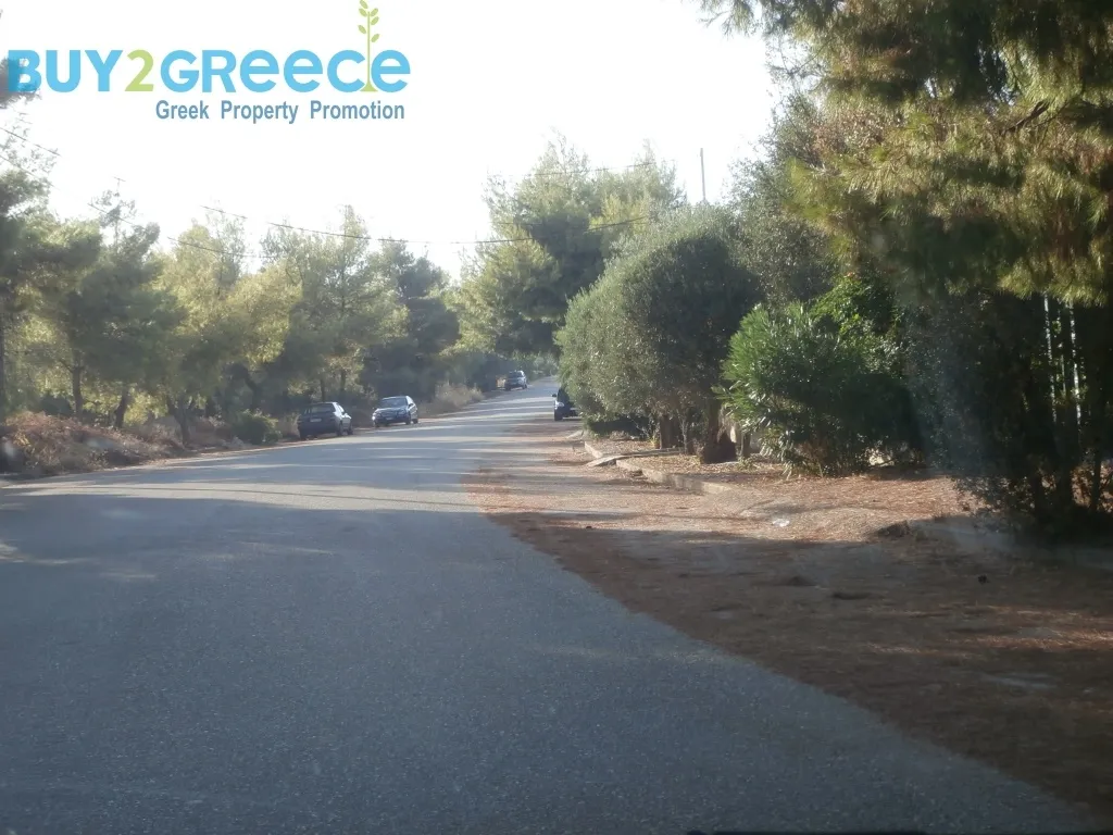 Οικόπεδο 1045τ.μ.  - 5