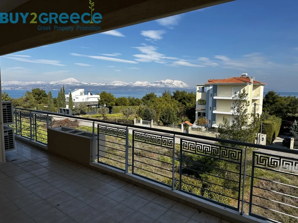 Μονοκατοικία 540τ.μ.  - 3