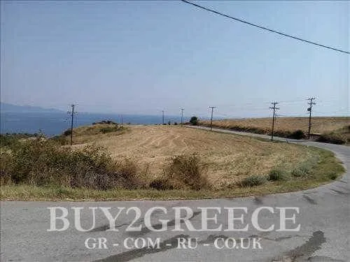 Αγροτεμάχιο 15000τ.μ.  - 3