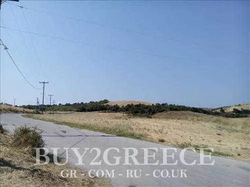 Αγροτεμάχιο 15000τ.μ.  - 4