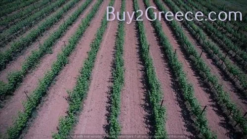 Άλλο.. 10000τ.μ. Έκταση  - 3