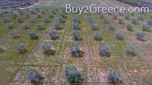 Άλλο.. 10000τ.μ. Έκταση  - 4