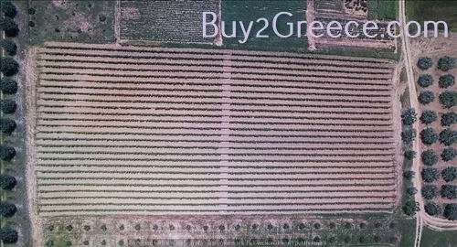 Άλλο.. 10000τ.μ. Έκταση  - 5