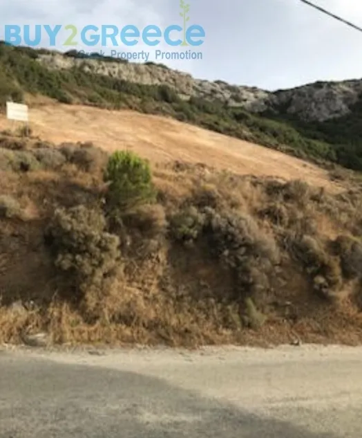 Αγροτεμάχιο 1786τ.μ.  - 4