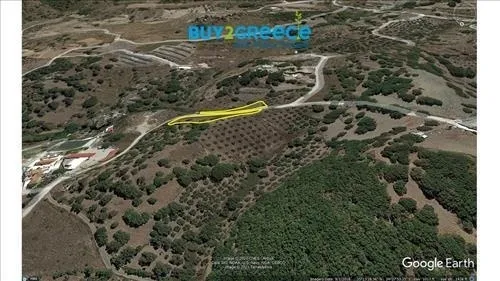 Οικόπεδο 920τ.μ.  - 5