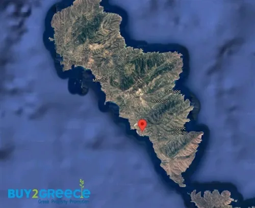 Οικόπεδο 7109τ.μ.  - 4