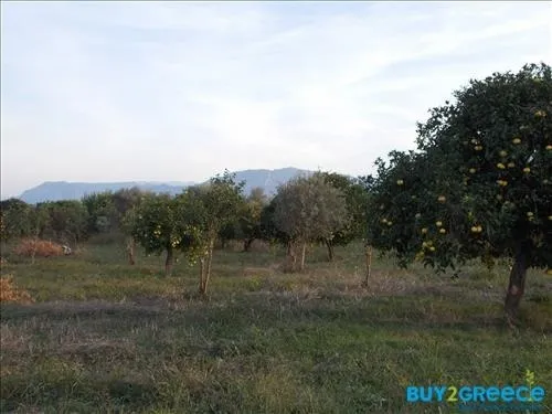 Plot 19273m²  - 2
