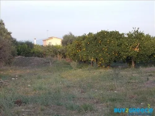 Plot 19273m²  - 3