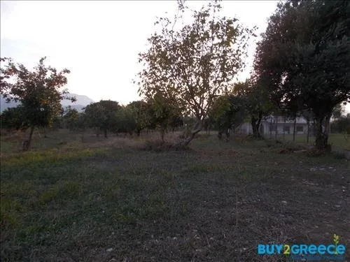 Plot 19273m²  - 4