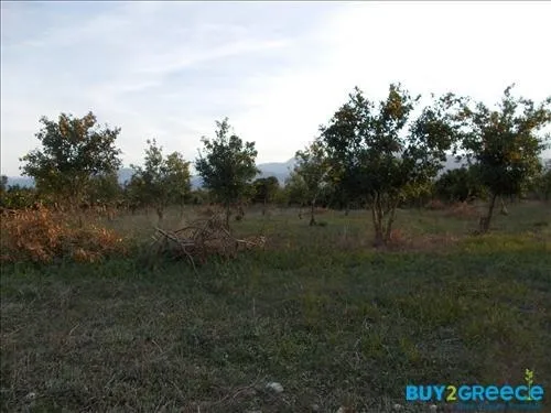 Plot 19273m²  - 5