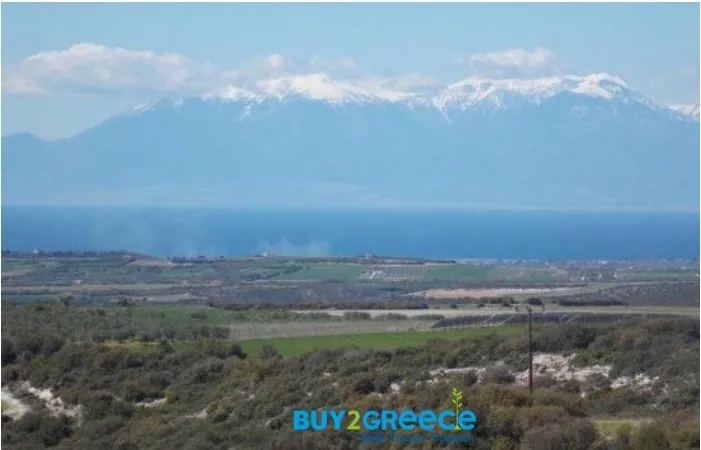 Αγροτεμάχιο 5780τ.μ.  - 4