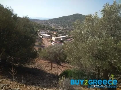 Αγροτεμάχιο 220τ.μ.  - 3