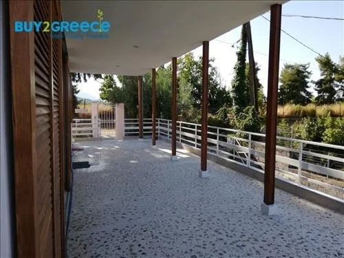 Μονοκατοικία 253τ.μ.  - 3