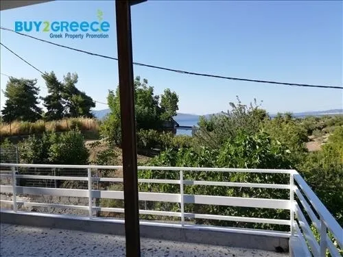 Μονοκατοικία 253τ.μ.  - 4