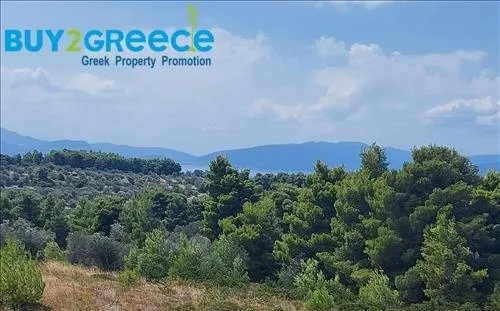 Αγροτεμάχιο 5700τ.μ.  - 2