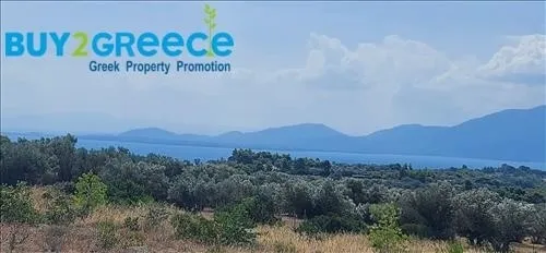 Αγροτεμάχιο 5700τ.μ.  - 3