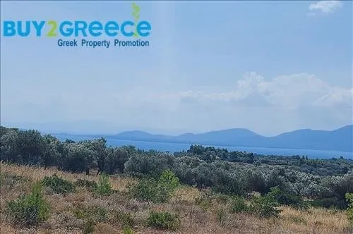 Αγροτεμάχιο 5700τ.μ.  - 4