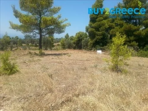 Αγροτεμάχιο 5700τ.μ.  - 5