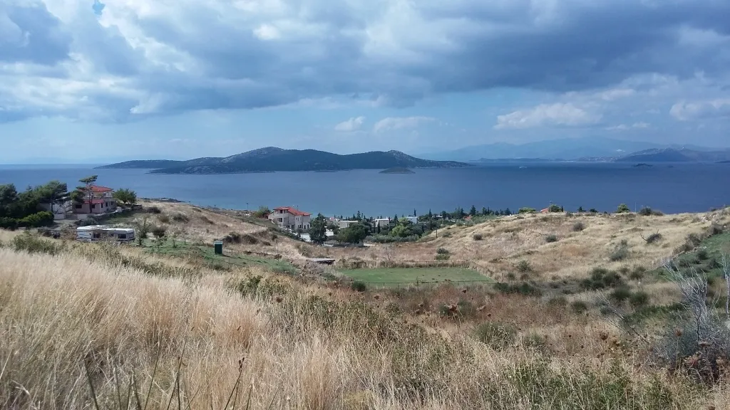 Land Parcel 5000m²  - 2