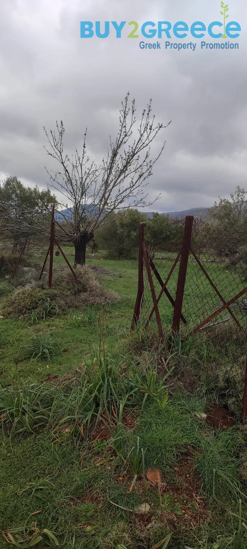 Αγροτεμάχιο 4465τ.μ.  - 2