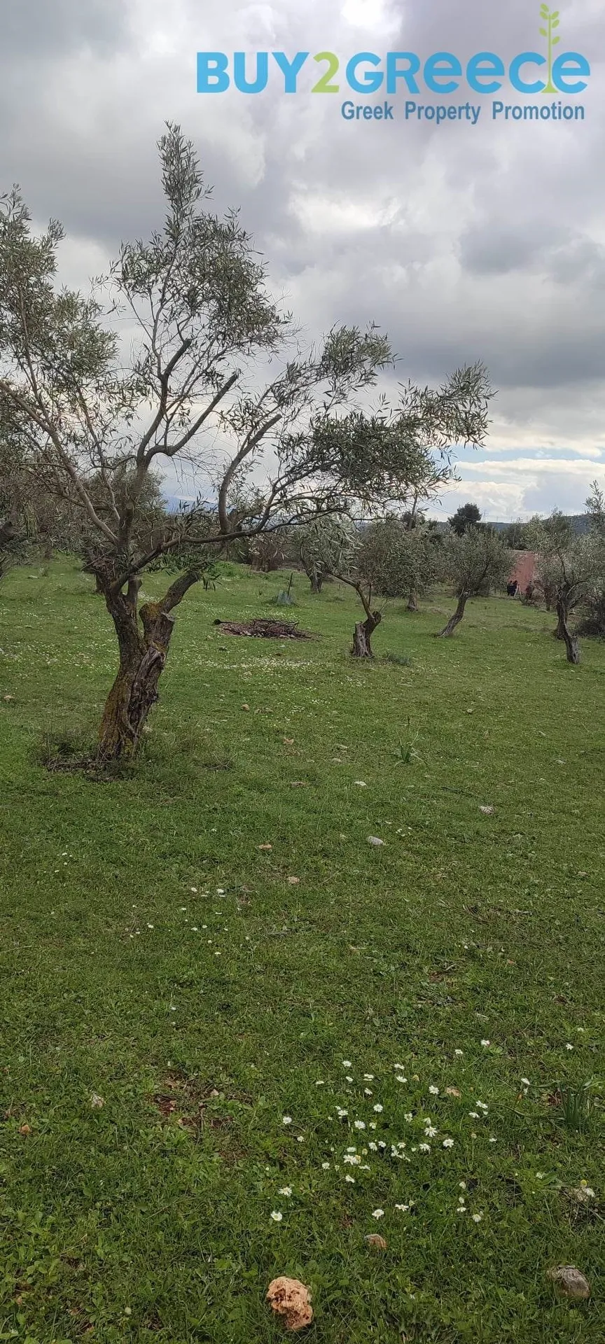 Αγροτεμάχιο 4465τ.μ.  - 4