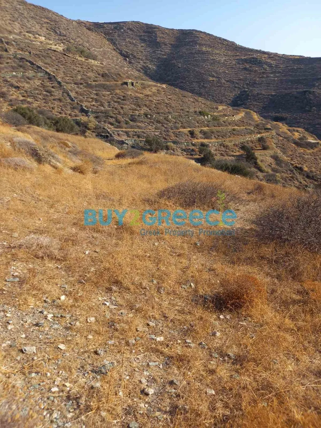 Οικόπεδο 5767τ.μ.  - 3