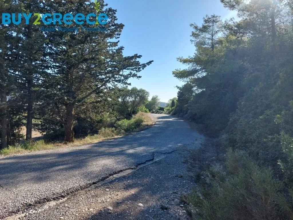 Οικόπεδο 11490τ.μ.  - 2