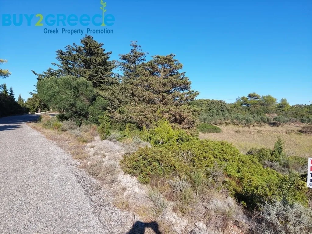 Οικόπεδο 11490τ.μ.  - 3