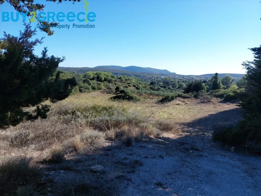 Οικόπεδο 11490τ.μ.  - 4