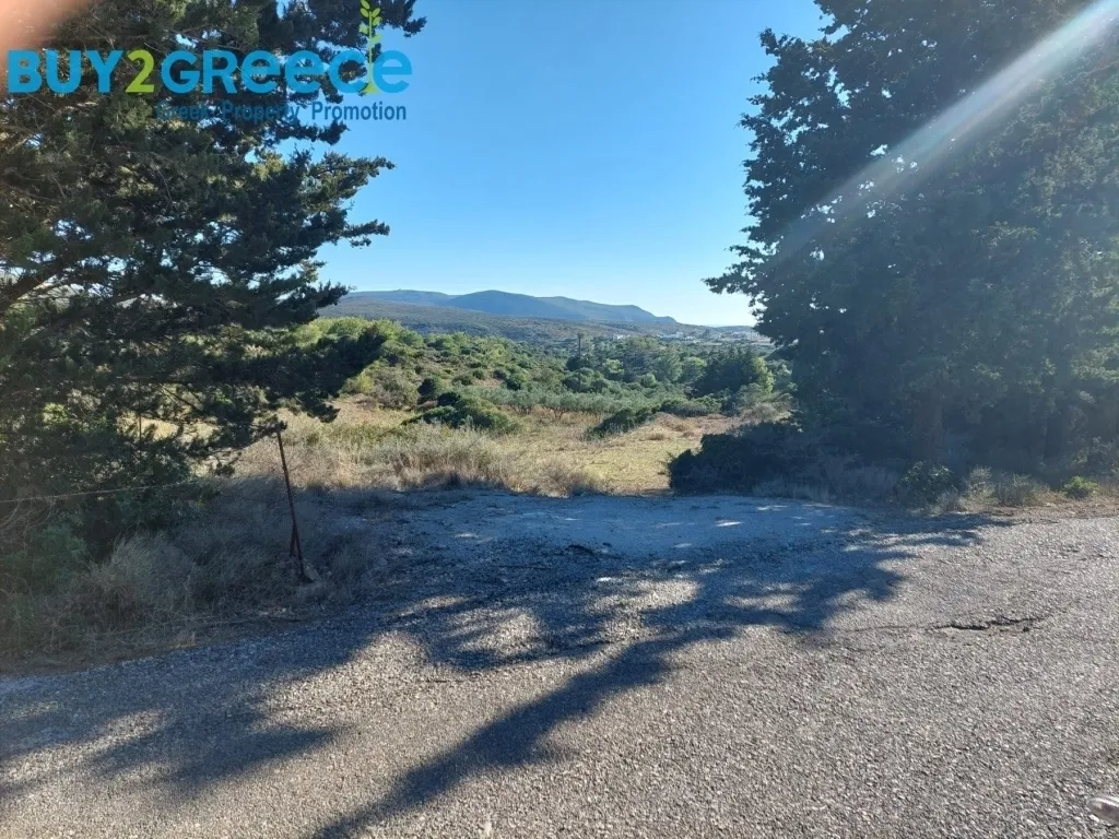 Οικόπεδο 11490τ.μ.  - 5