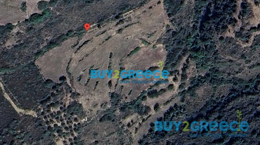 Αγροτεμάχιο 22780τ.μ.  - 3