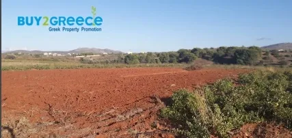 Οικόπεδο 2200τ.μ.  - 2