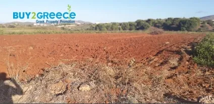 Οικόπεδο 2200τ.μ.  - 3