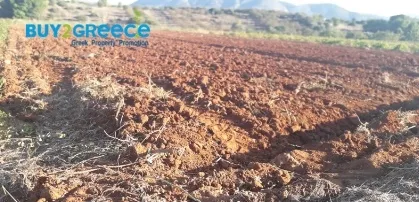 Οικόπεδο 2200τ.μ.  - 4