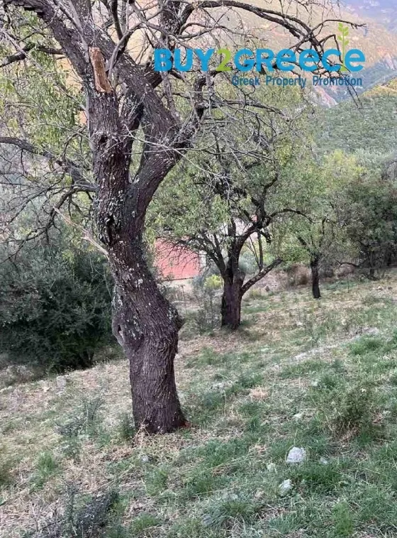 Plot 807m²  - 2