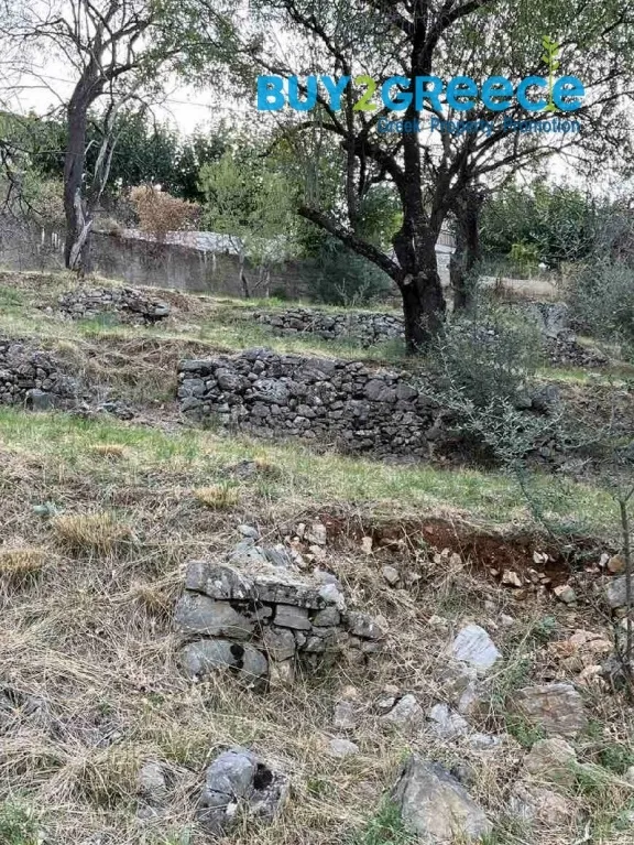 Plot 807m²  - 4