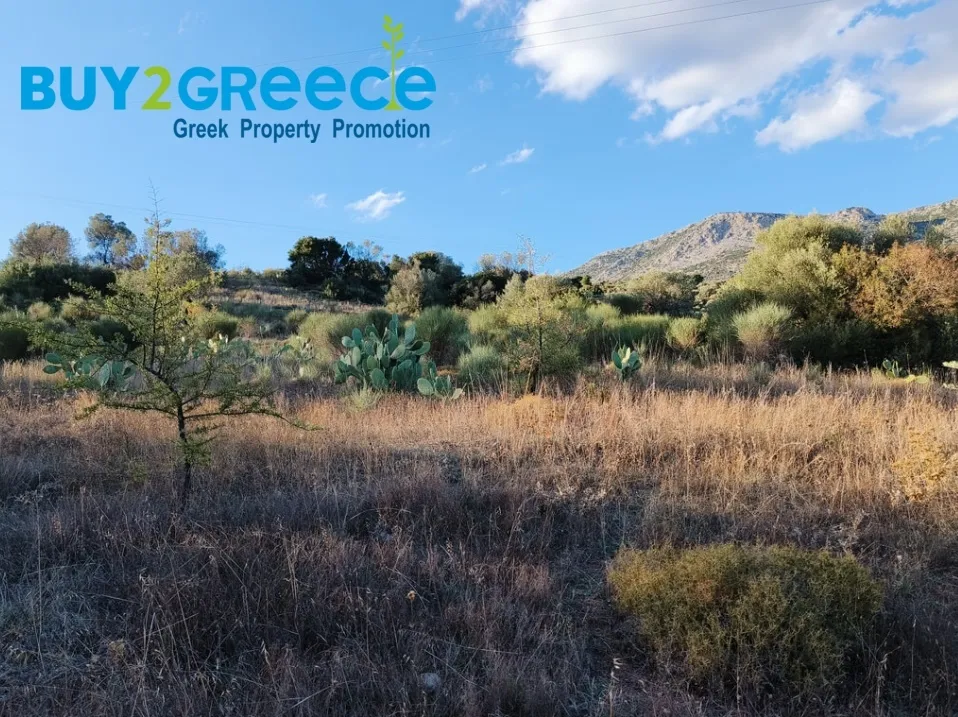 Αγροτεμάχιο 20000τ.μ.  - 2