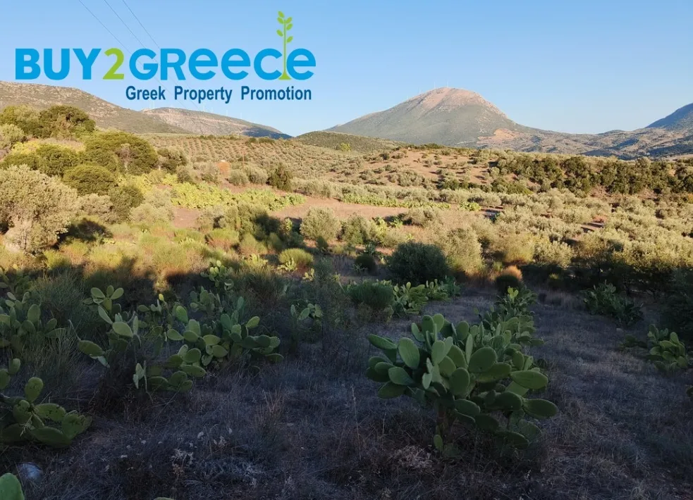 Αγροτεμάχιο 20000τ.μ.  - 3