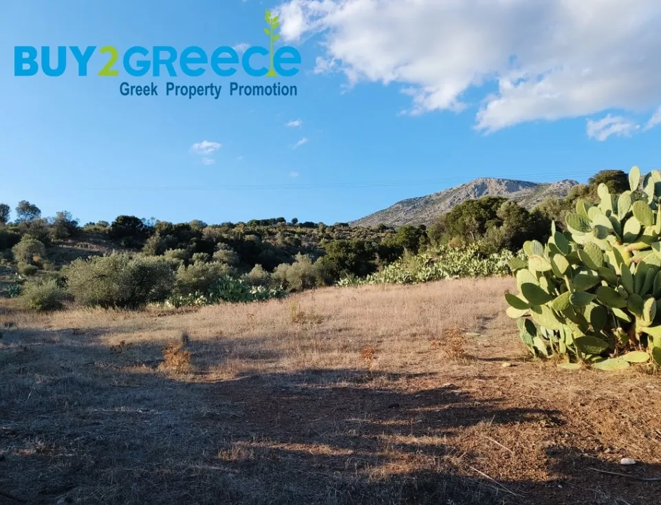Αγροτεμάχιο 20000τ.μ.  - 5