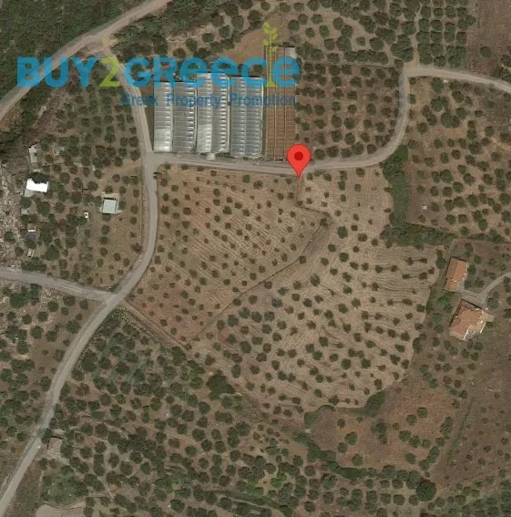 Plot 7400m²  - 5