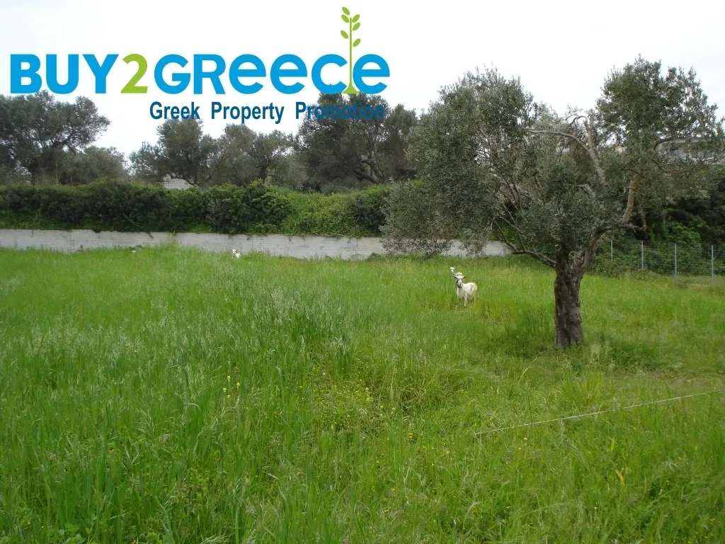 Plot 1041m²  - 2