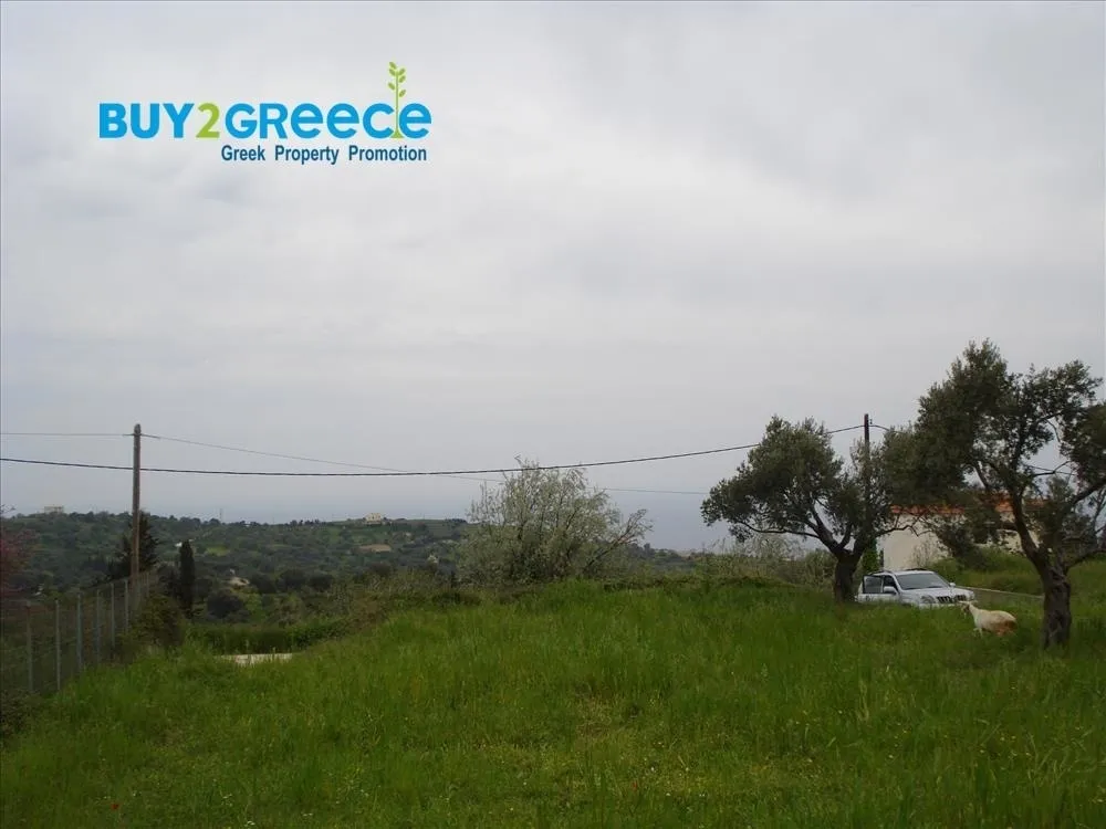 Plot 1041m²  - 4