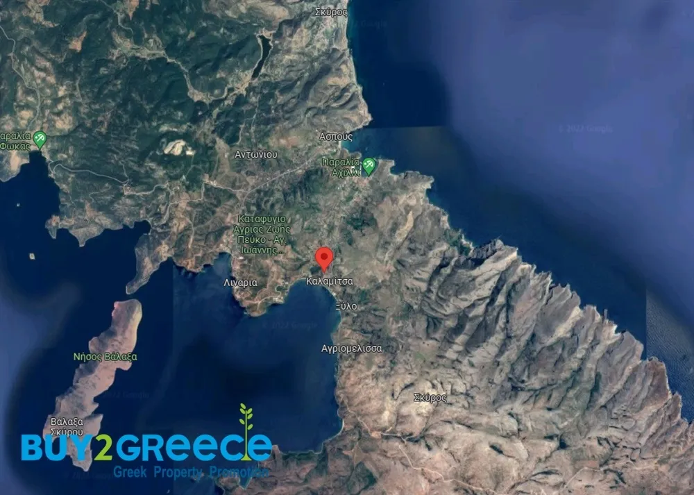 Αγροτεμάχιο 4038τ.μ.  - 2
