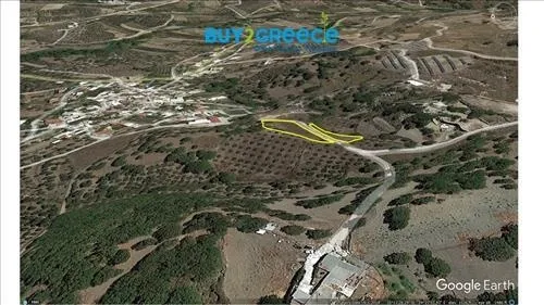 Οικόπεδο 2184τ.μ.  - 5