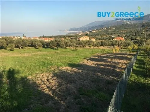 Οικόπεδο 2770τ.μ.  - 4