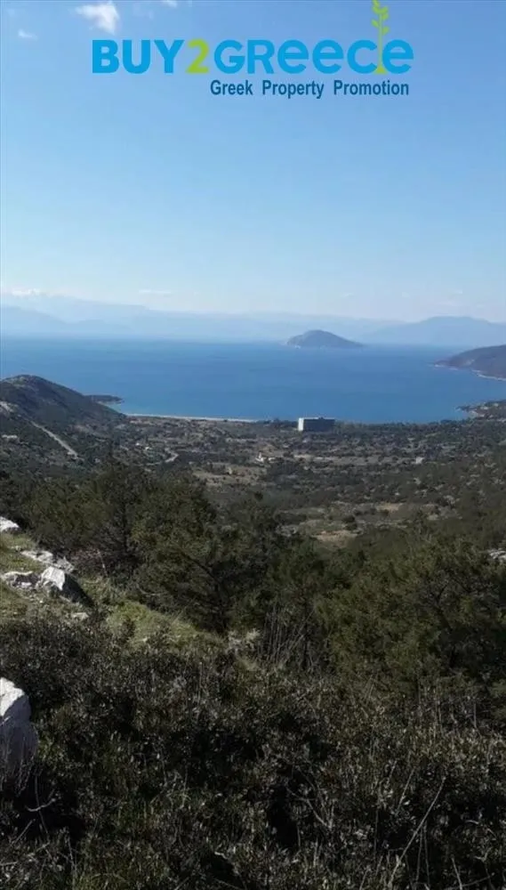 Οικόπεδο 5500τ.μ.  - 2