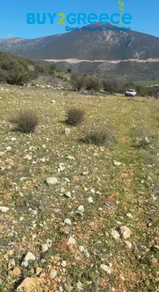 Οικόπεδο 5500τ.μ.  - 3