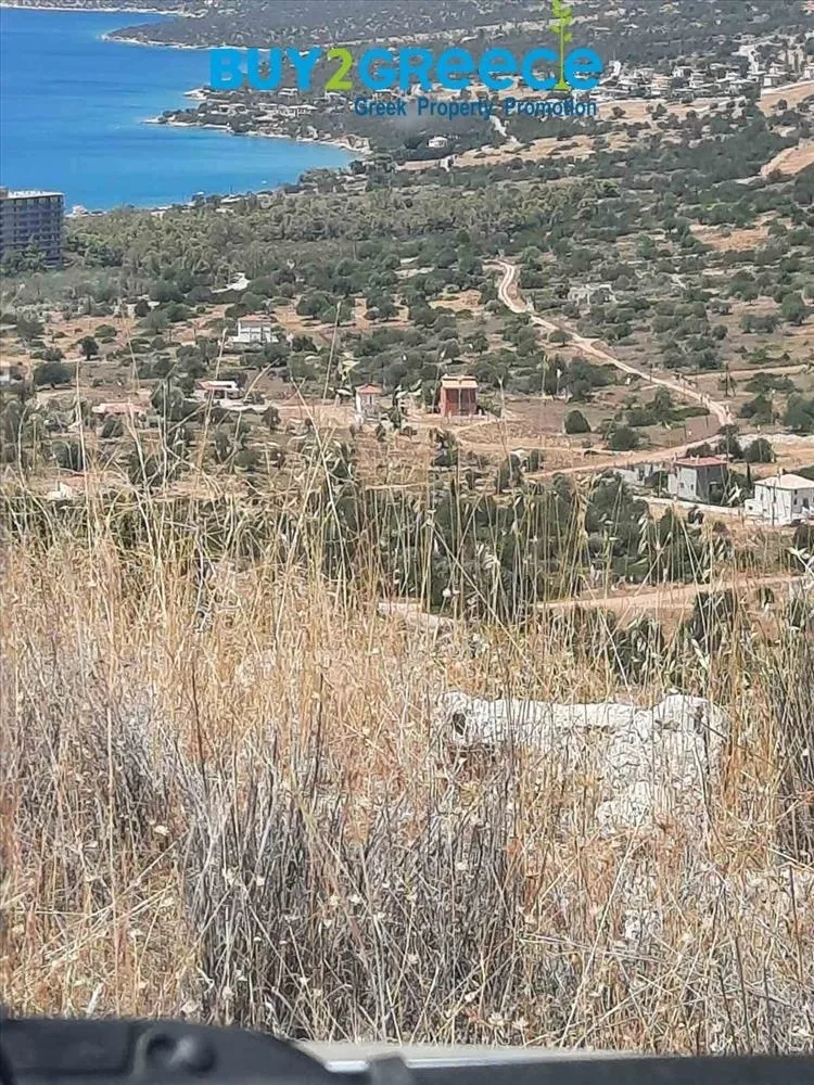 Οικόπεδο 5500τ.μ.  - 4